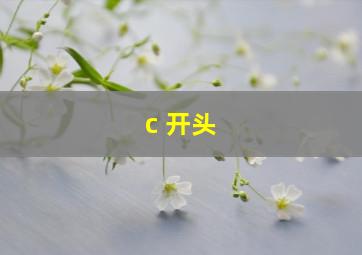 c 开头